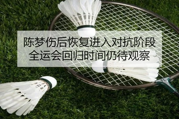 陈梦伤后恢复进入对抗阶段 全运会回归时间仍待观察（WANBOSPORTS）