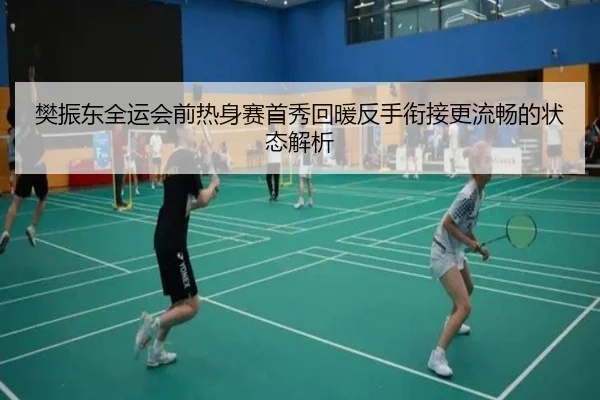 樊振东全运会前热身赛首秀回暖反手衔接更流畅的状态解析（WANBOSPORTS）